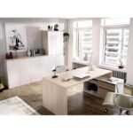 مكتب مدير Manager Desk DSK004